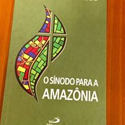Card. Hummes: "The church must engage in dialogue with all of the actors who hold interests in the Amazon"
